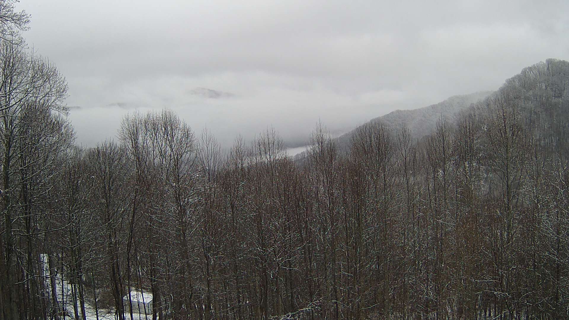 click for next image... slideshow image