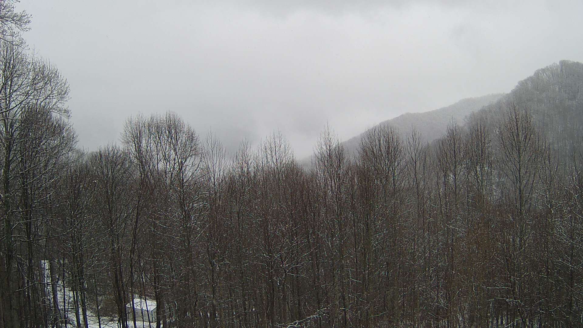 click for next image... slideshow image