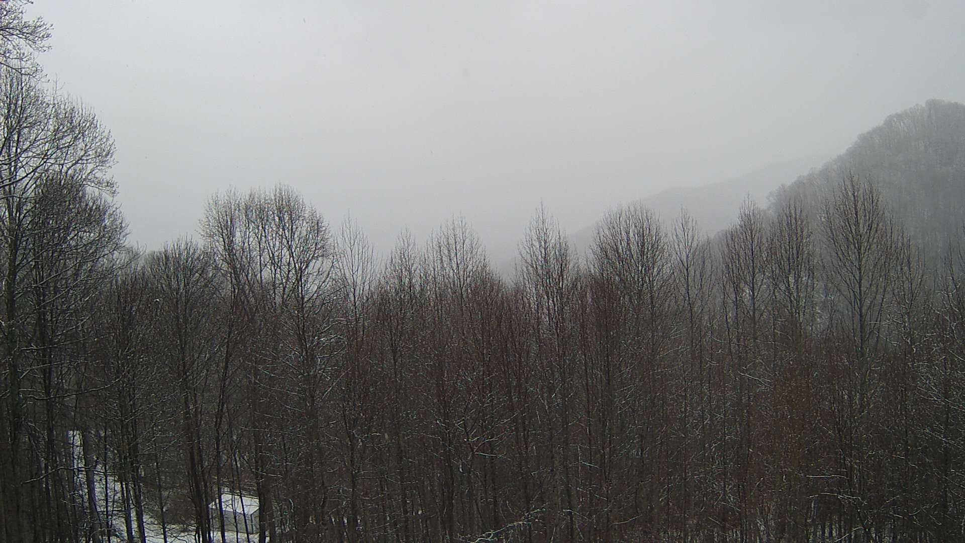 click for next image... slideshow image