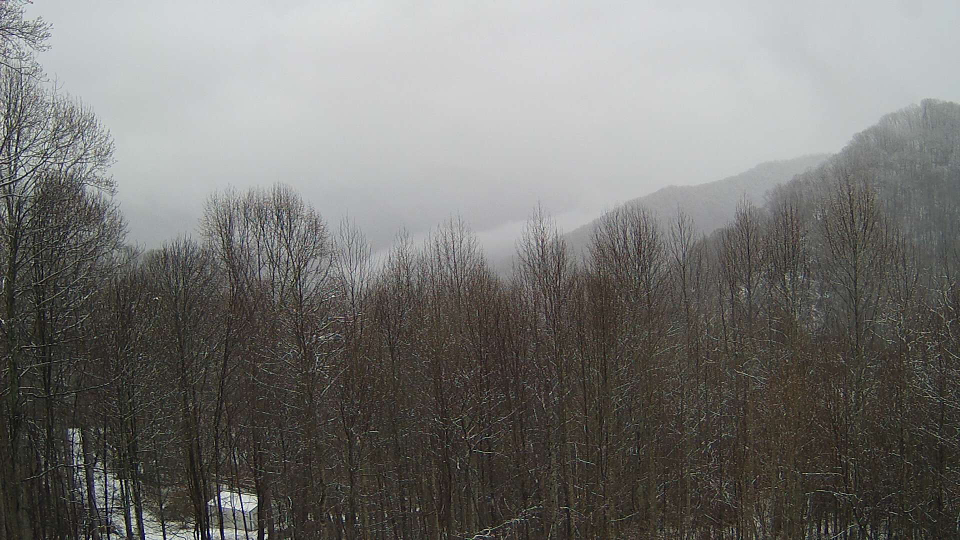 click for next image... slideshow image