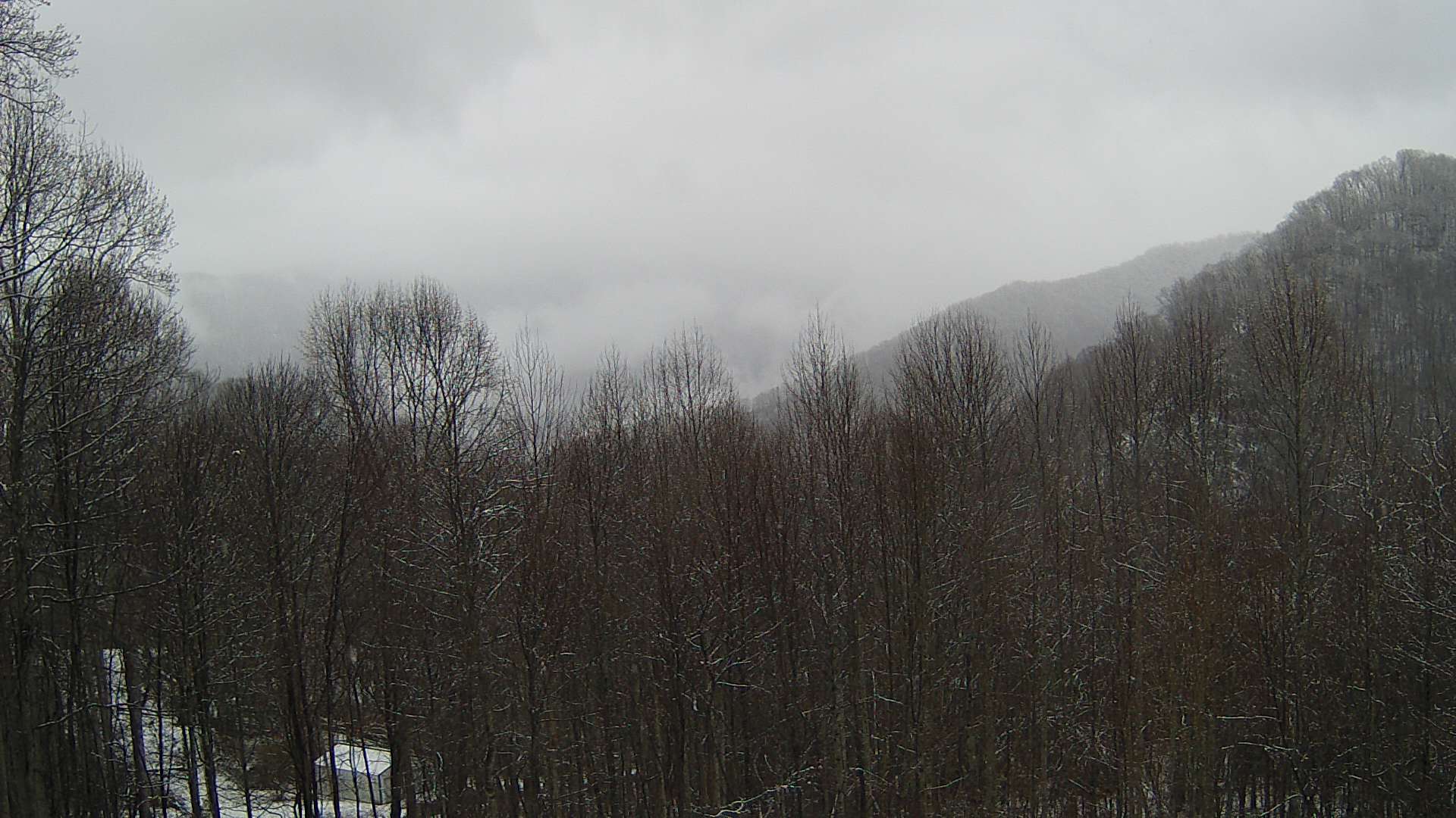 click for next image... slideshow image