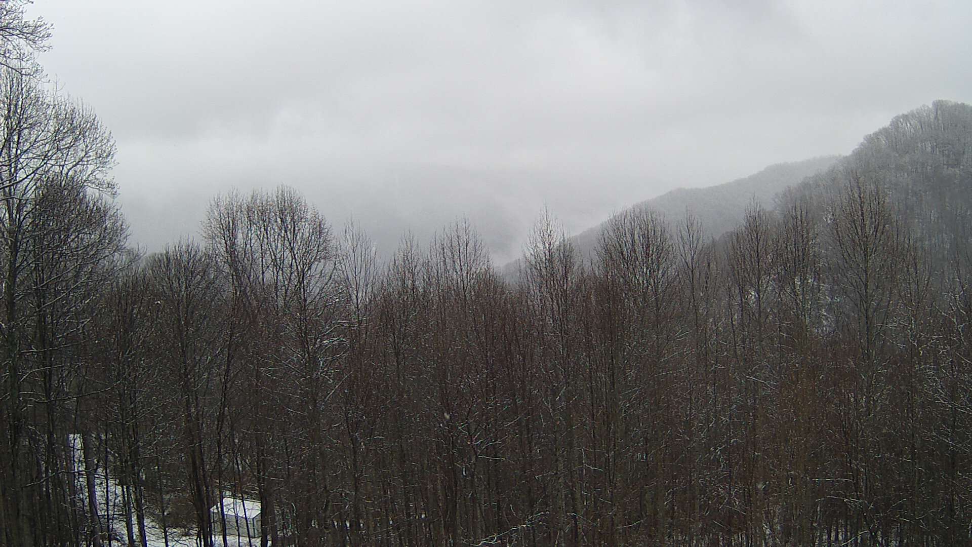 click for next image... slideshow image