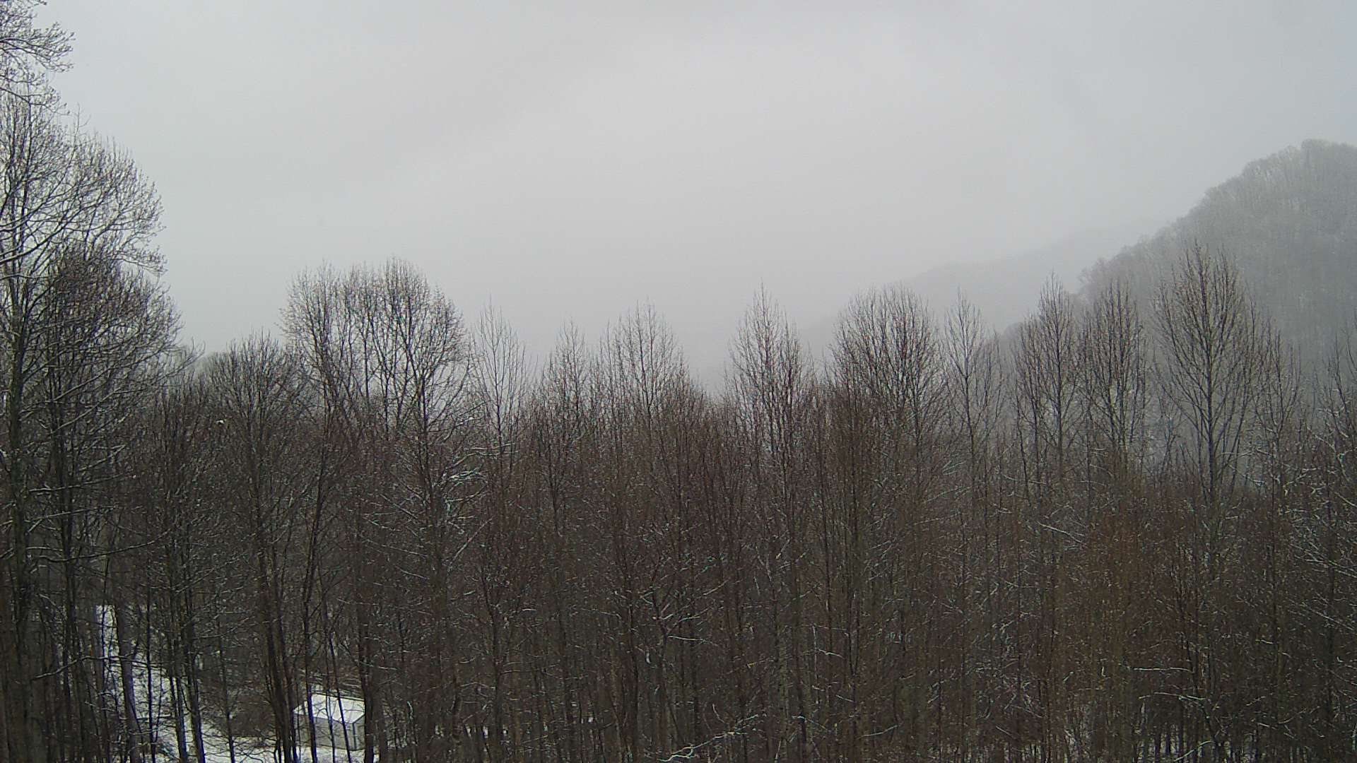 click for next image... slideshow image