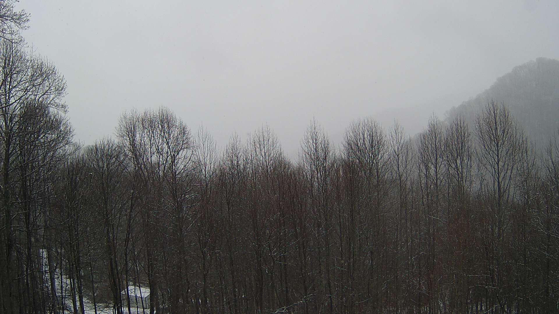 click for next image... slideshow image