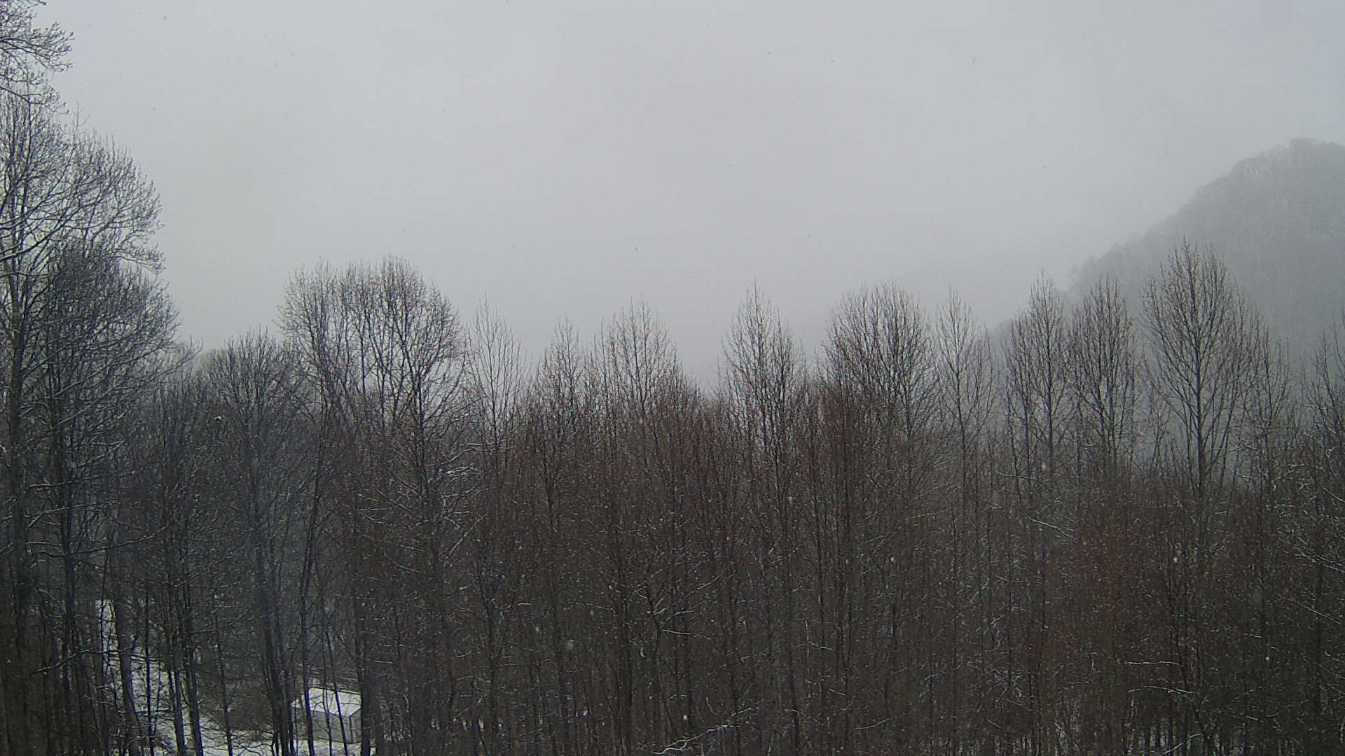 click for next image... slideshow image