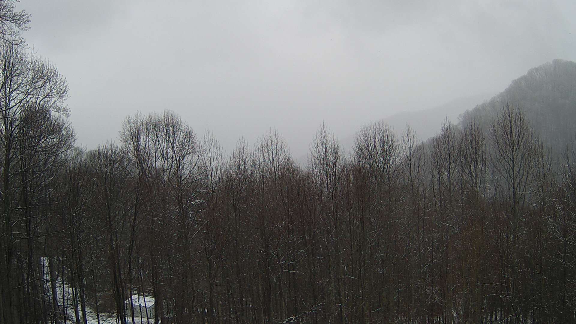 click for next image... slideshow image