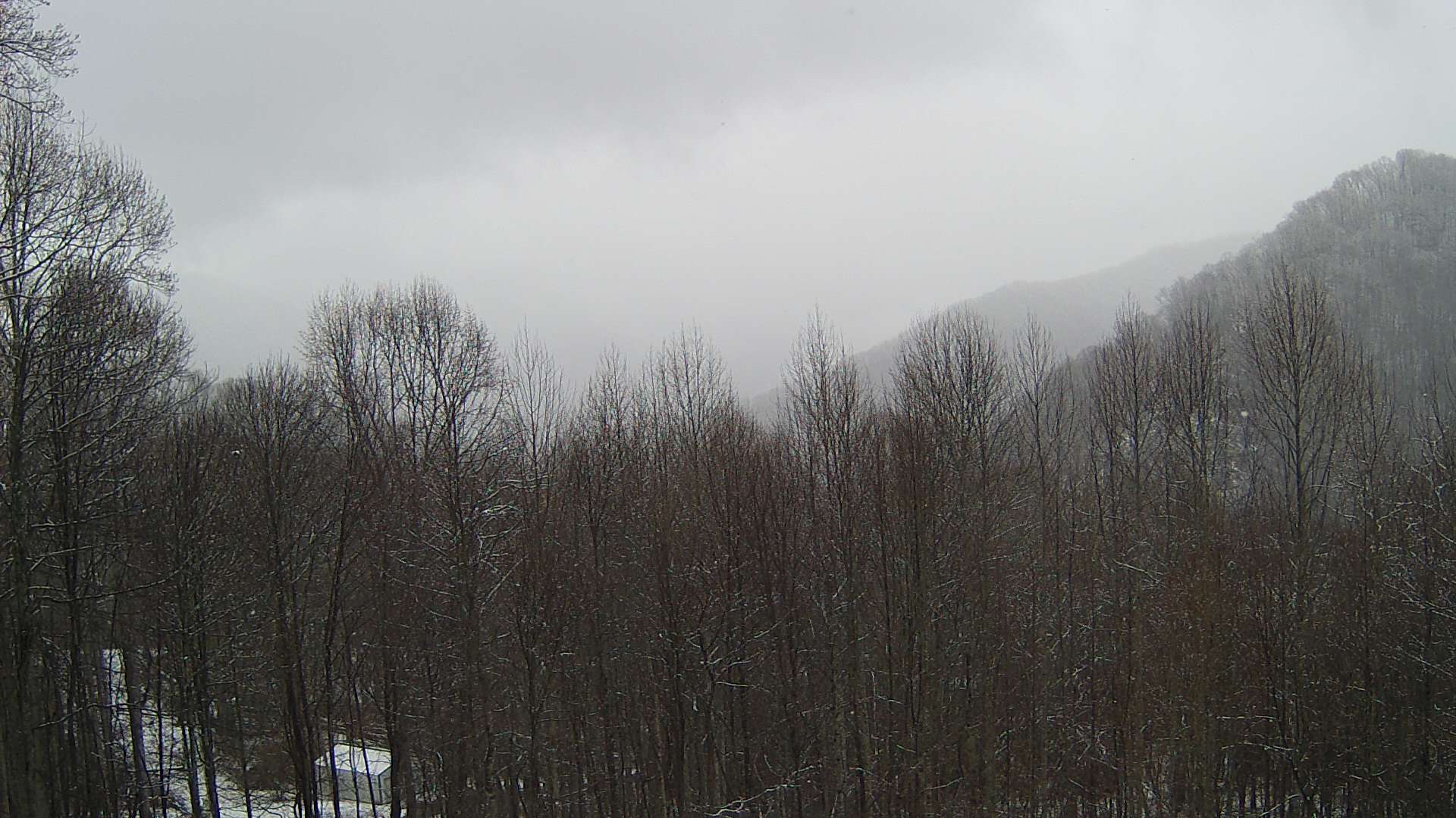 click for next image... slideshow image