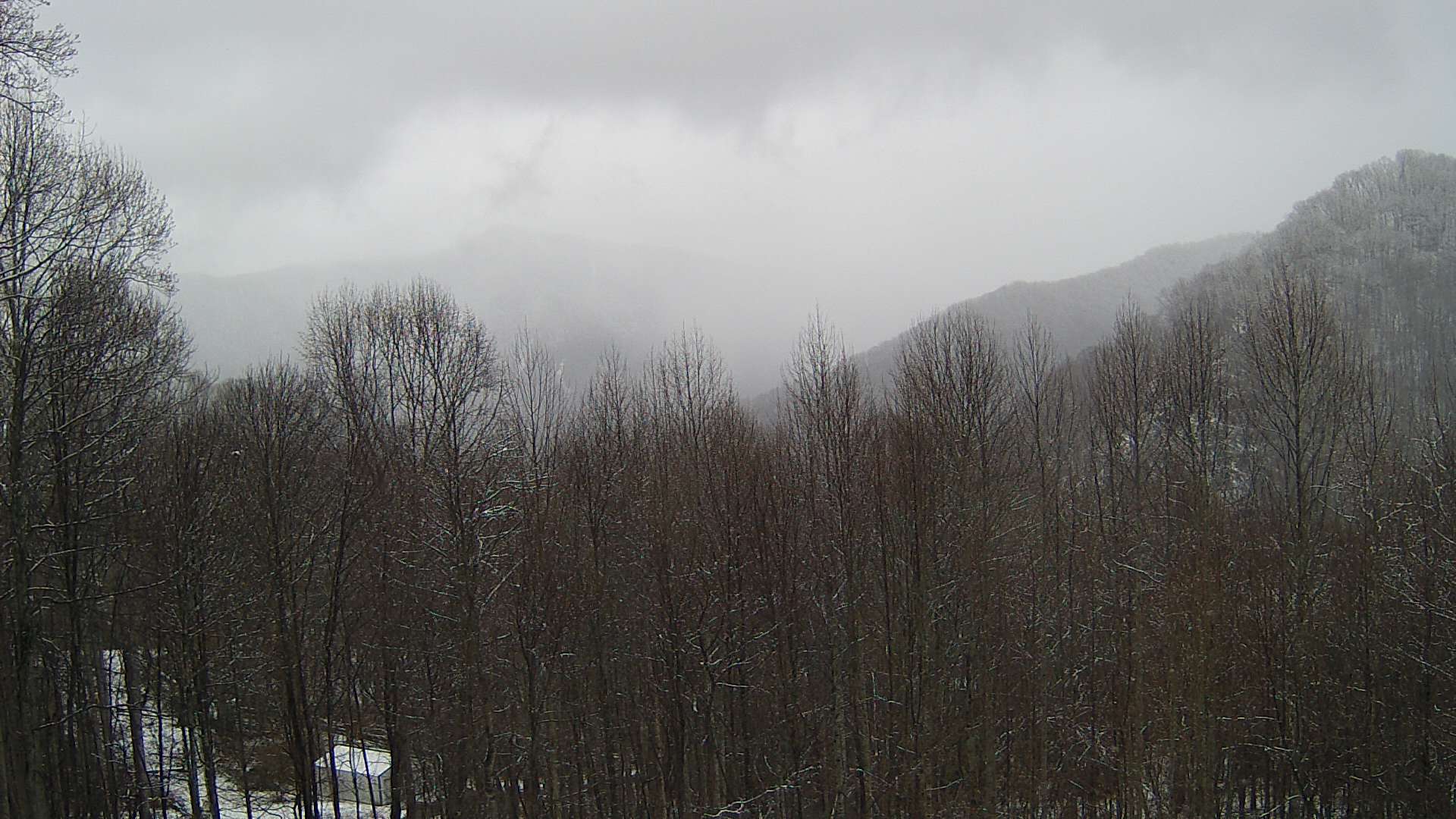 click for next image... slideshow image