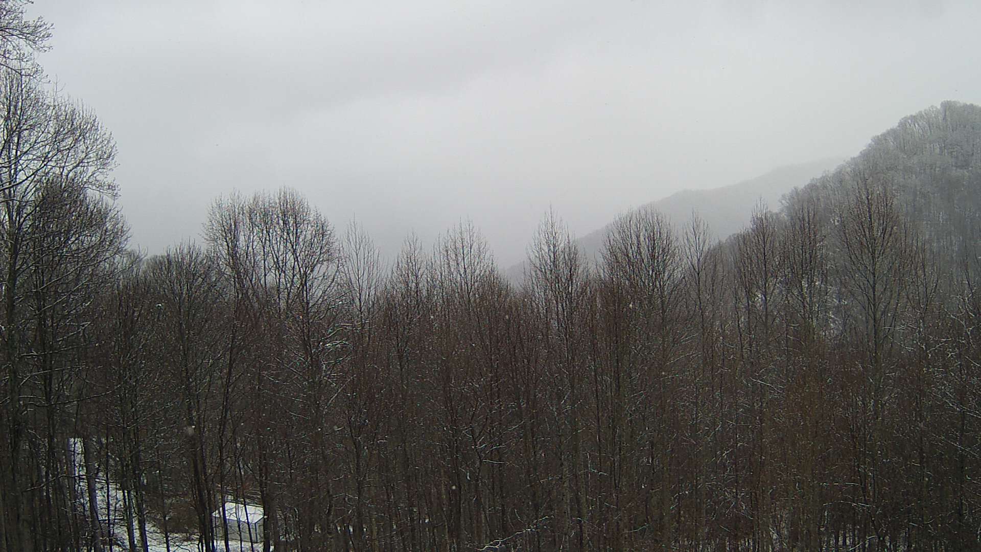 click for next image... slideshow image