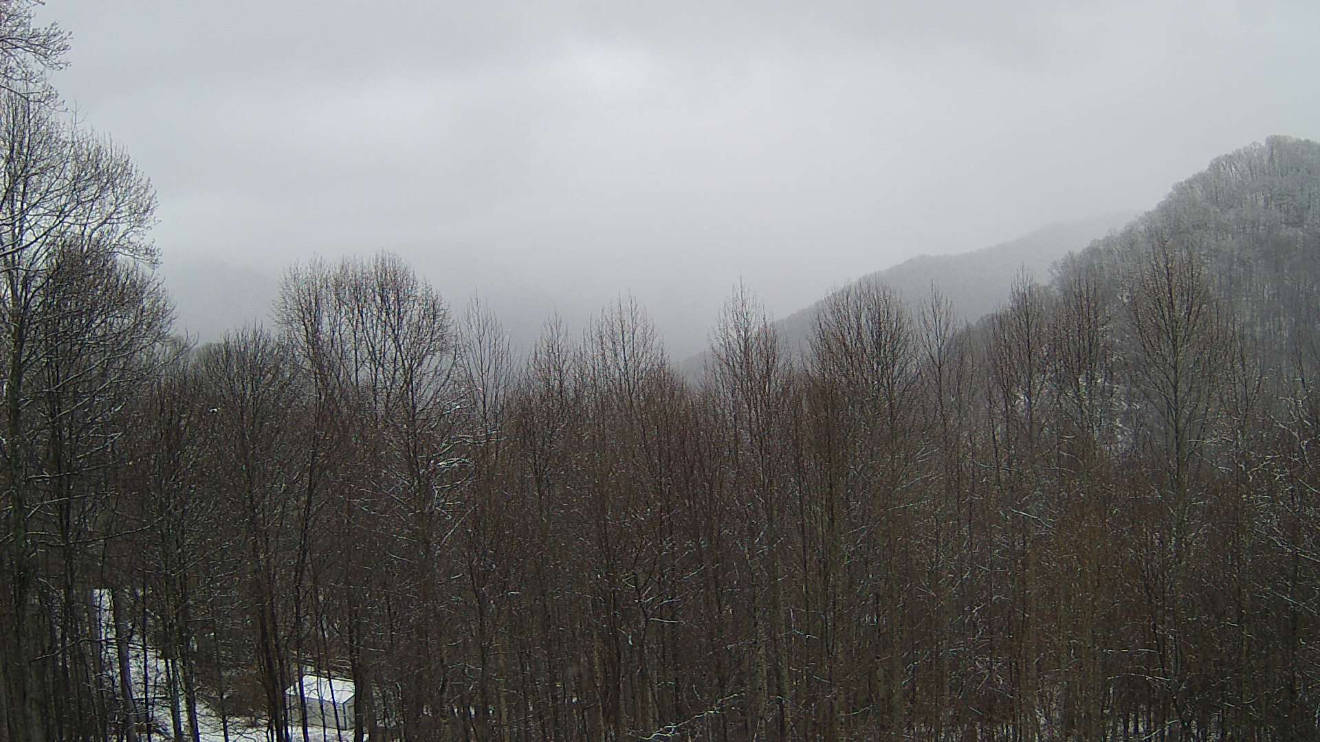 click for next image... slideshow image