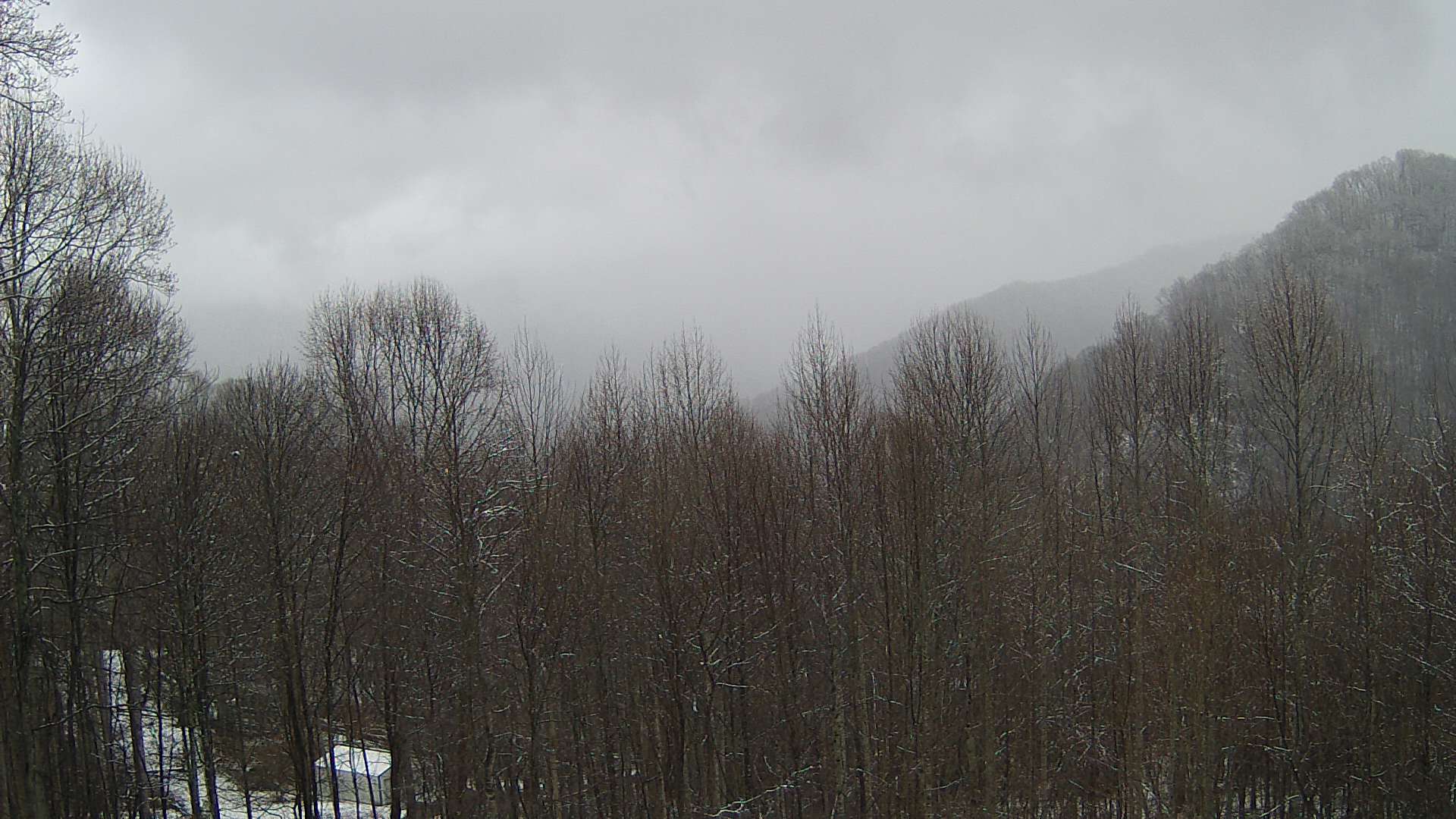 click for next image... slideshow image