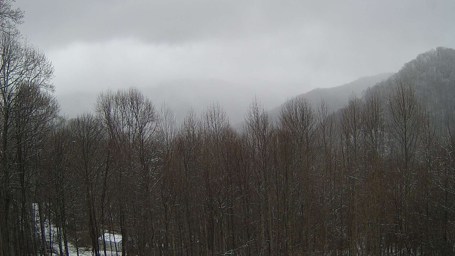 click for next image... slideshow image