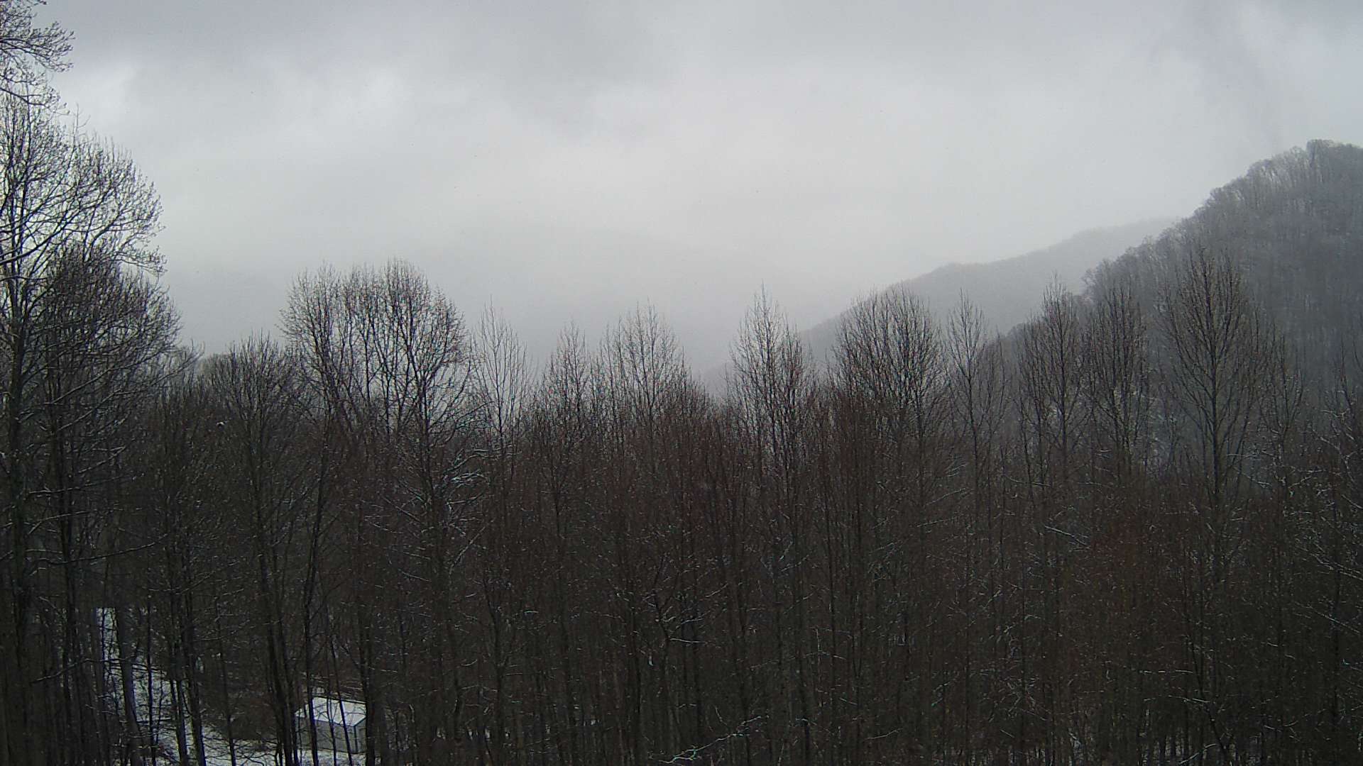 click for next image... slideshow image