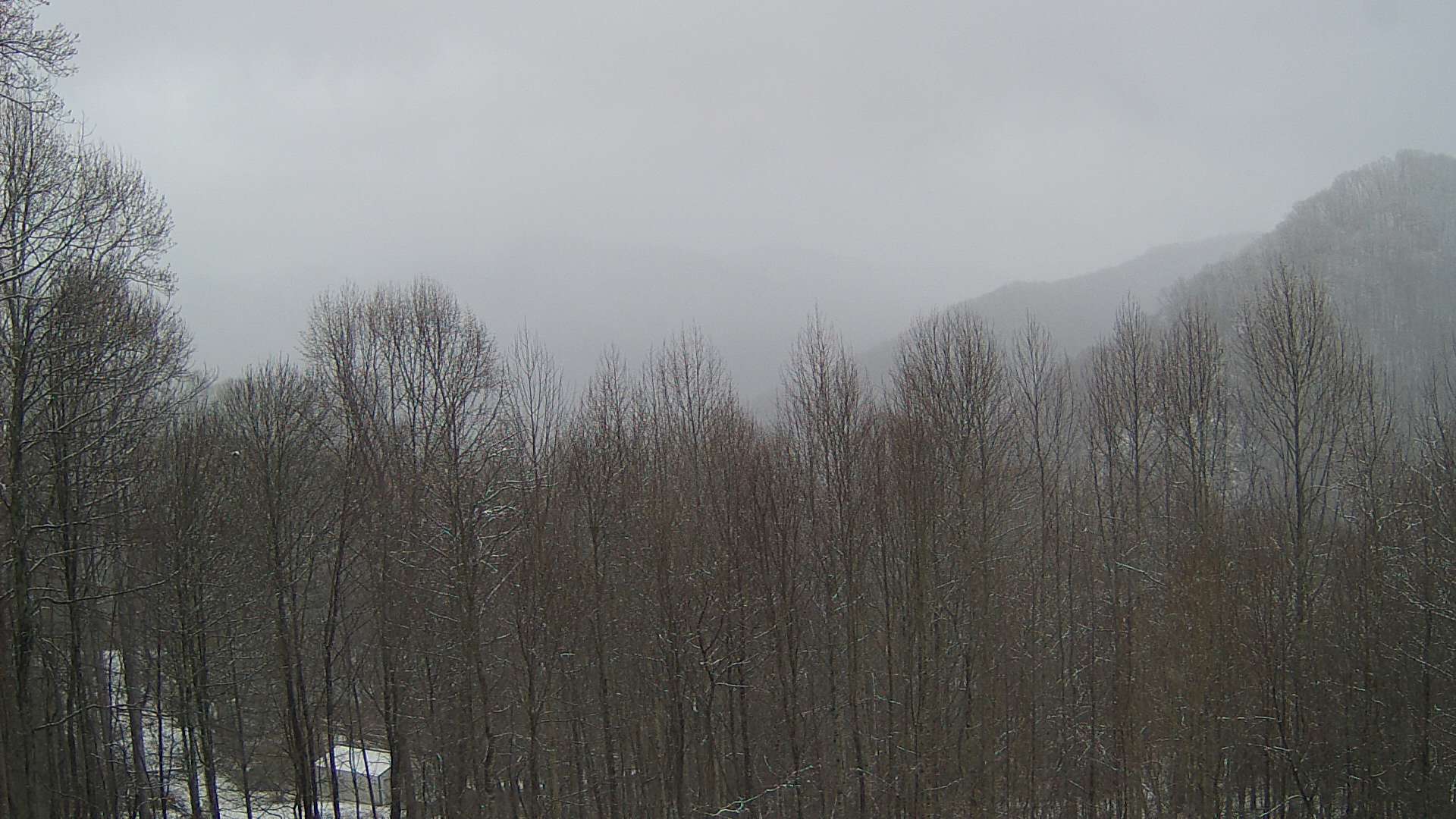 click for next image... slideshow image