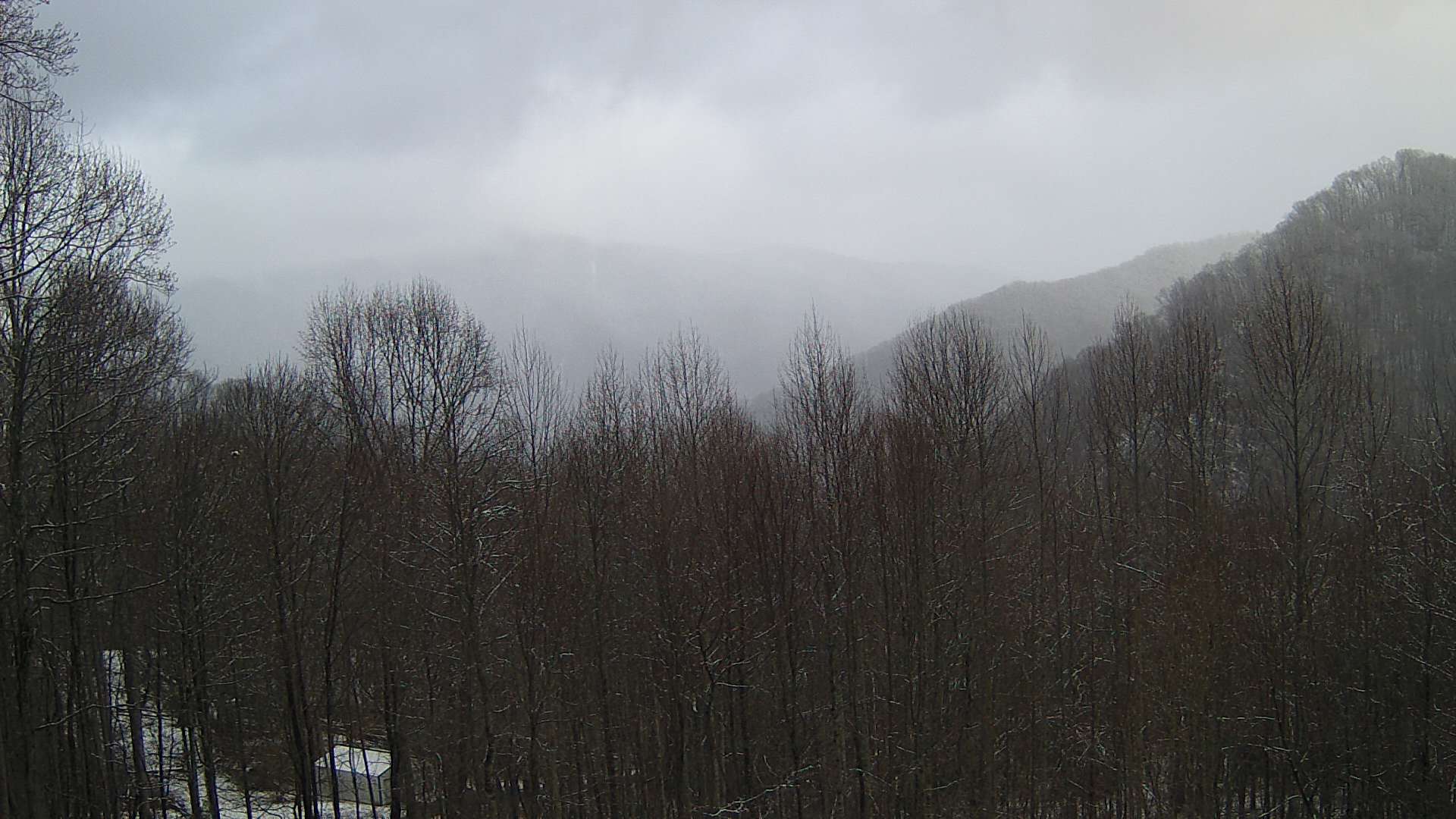 click for next image... slideshow image