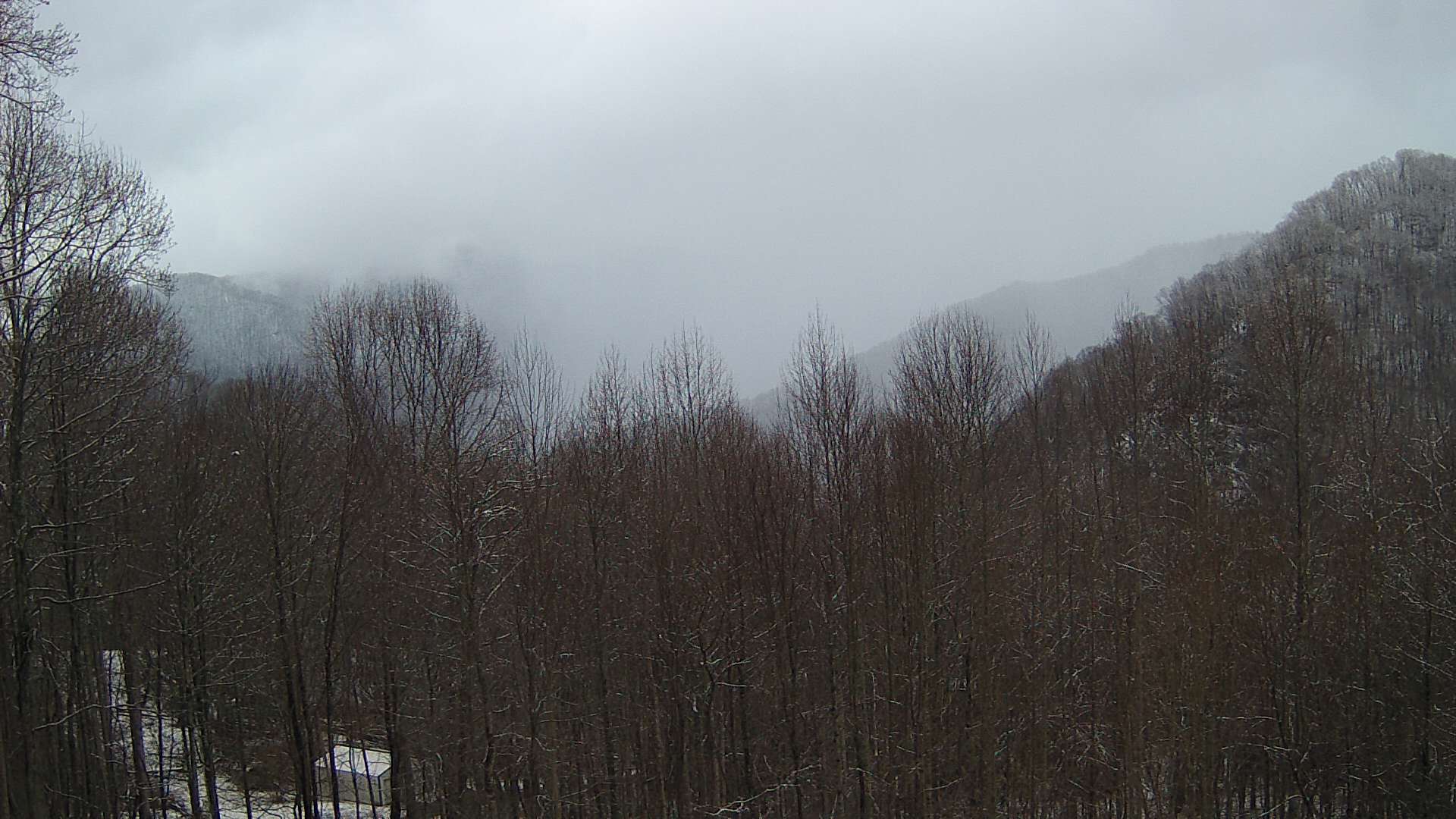 click for next image... slideshow image