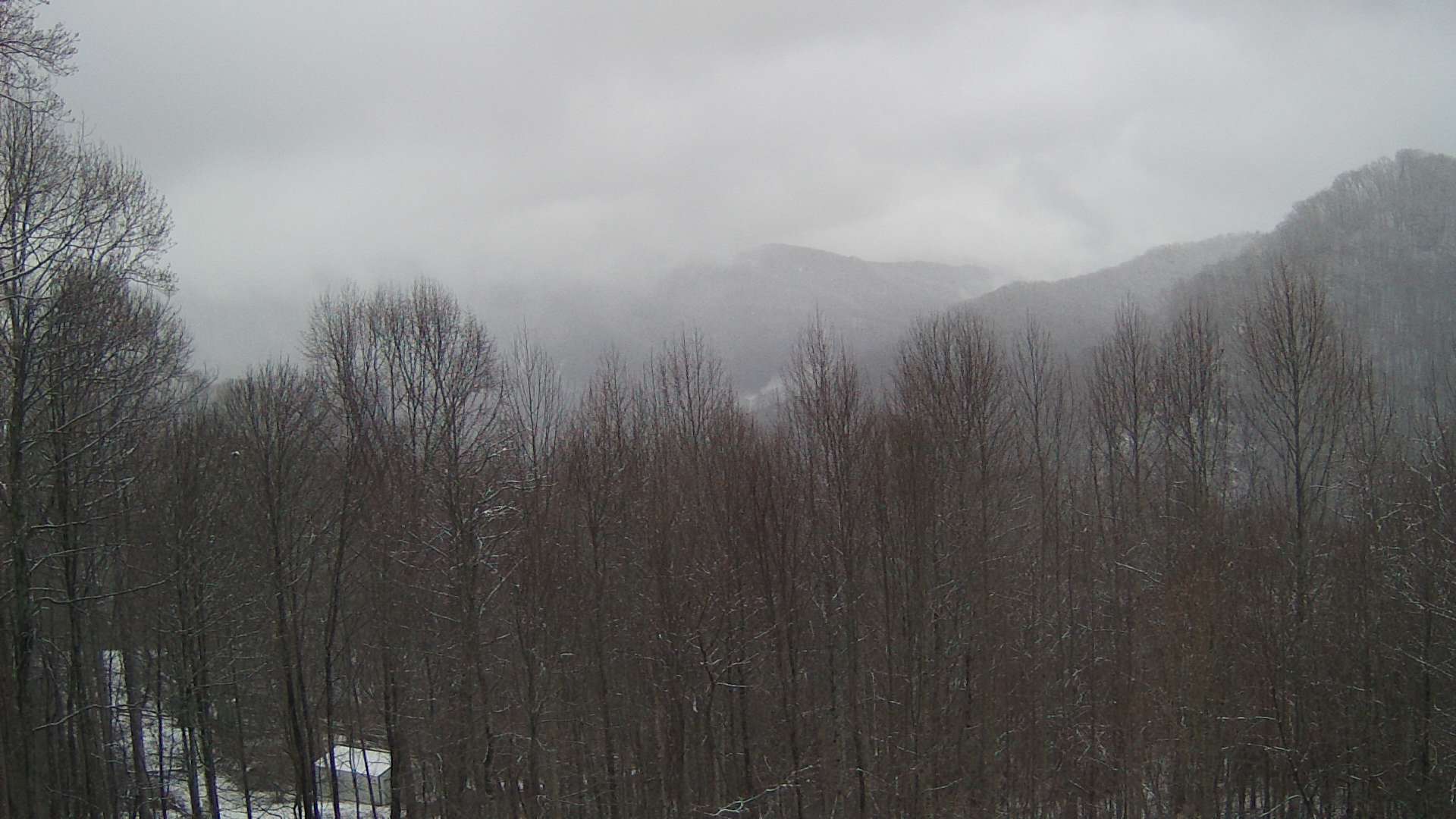 click for next image... slideshow image