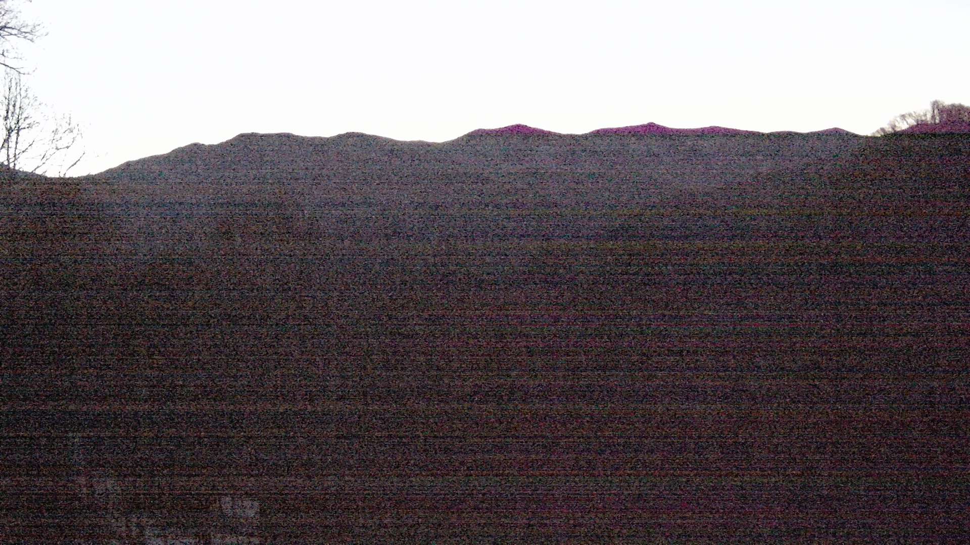 click for next image... slideshow image