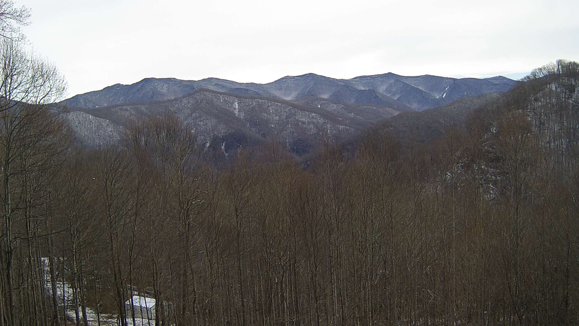 click for next image... slideshow image