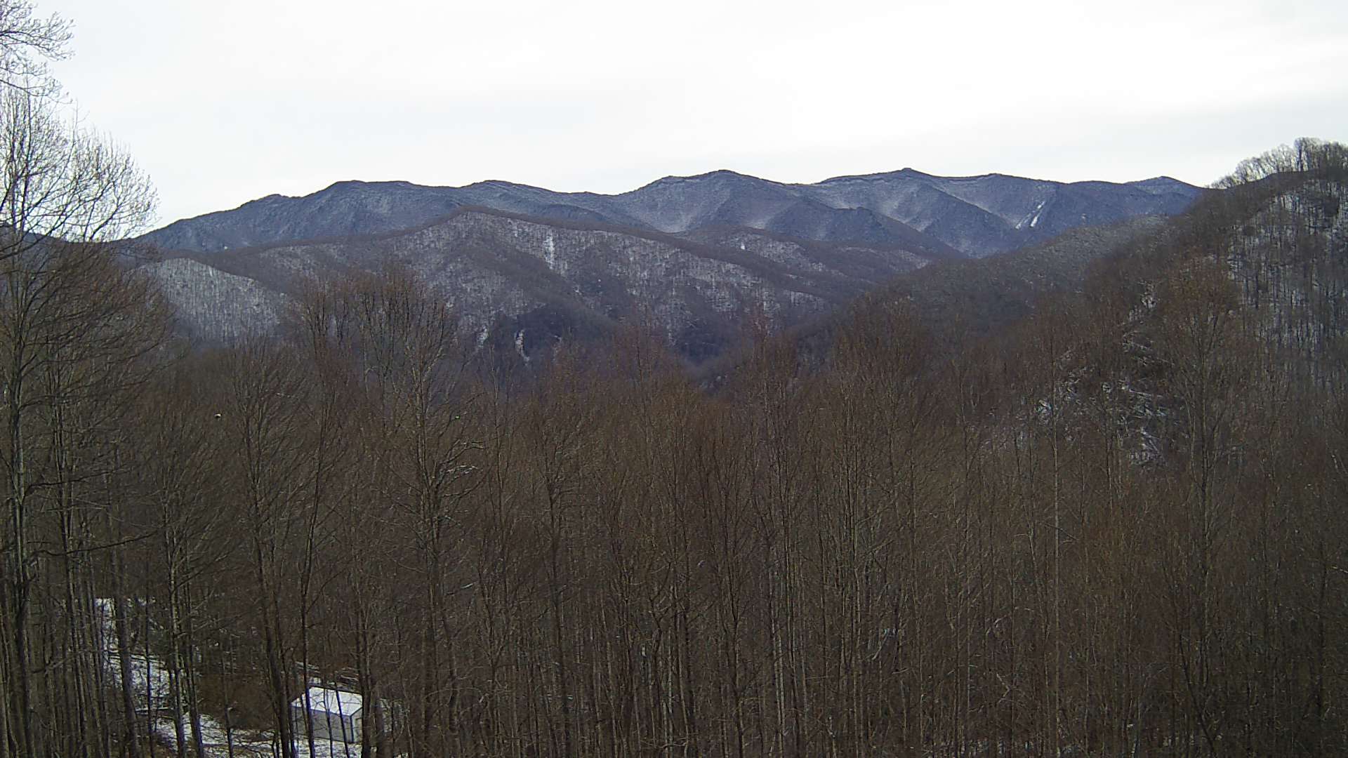 click for next image... slideshow image