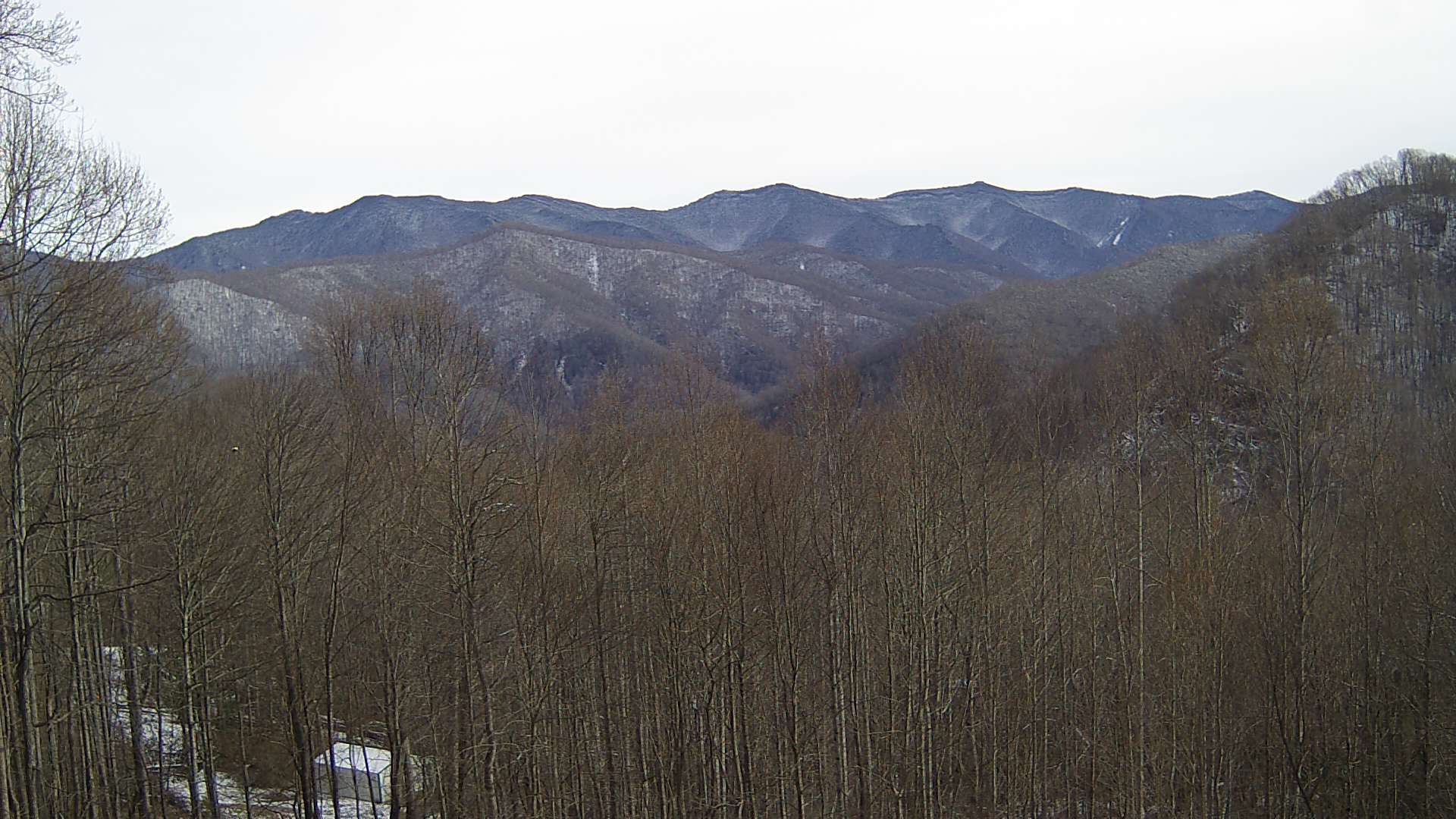 click for next image... slideshow image