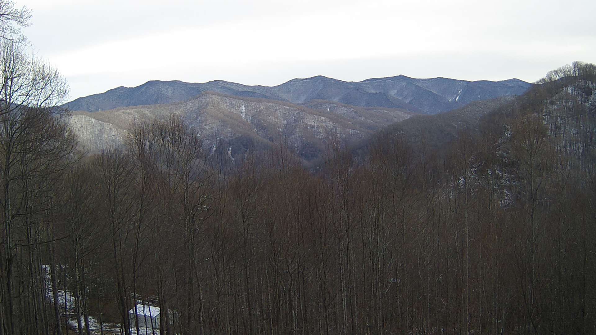 click for next image... slideshow image