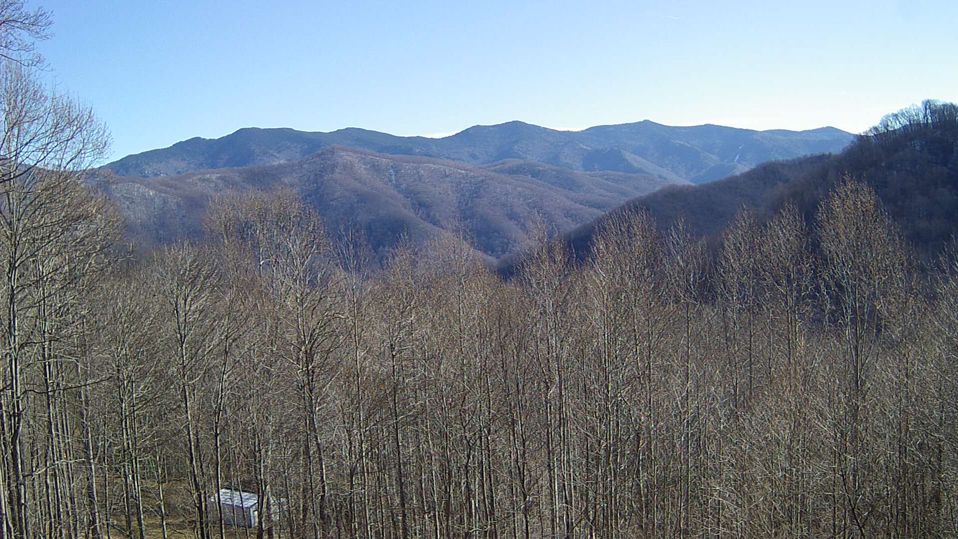 click for next image... slideshow image