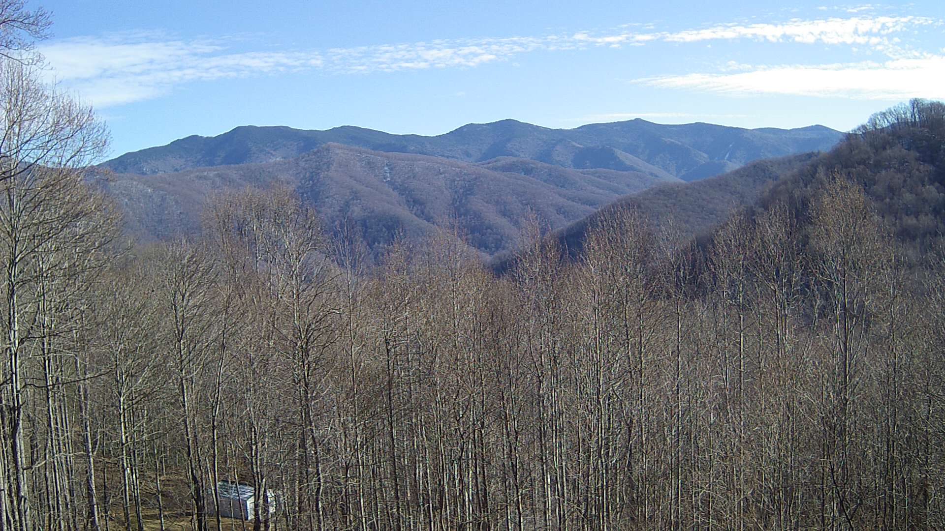 click for next image... slideshow image