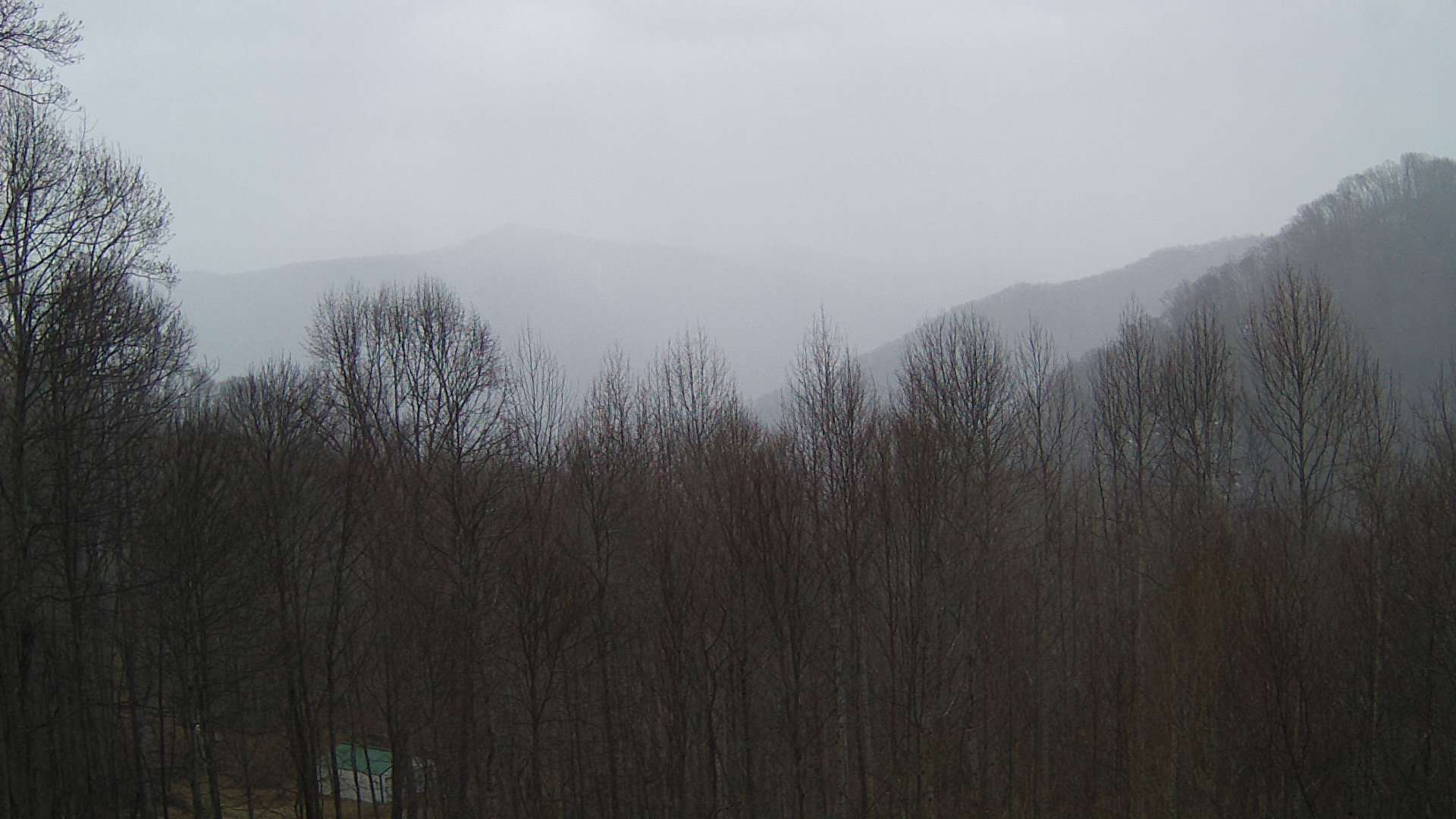 click for next image... slideshow image