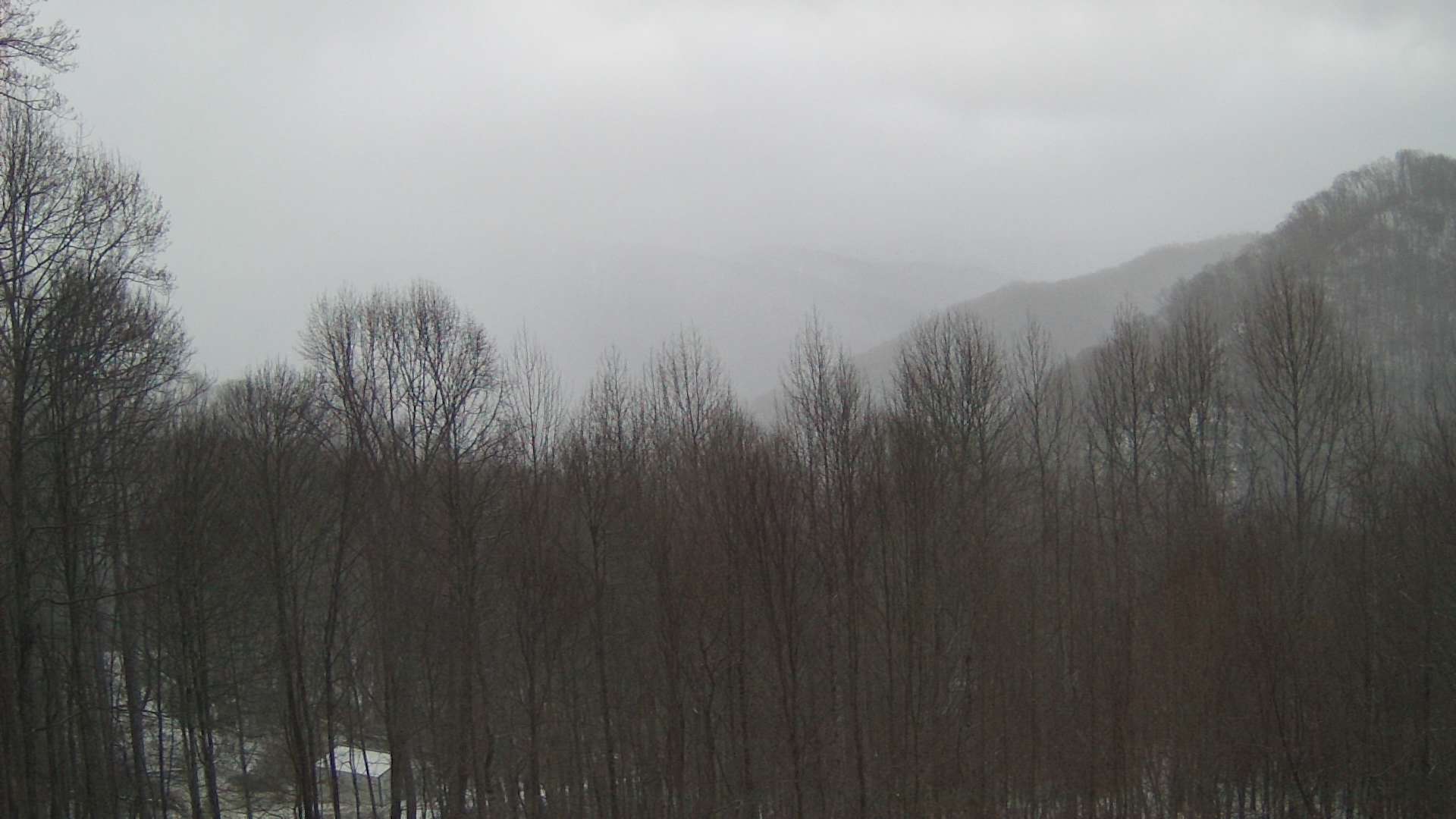 click for next image... slideshow image