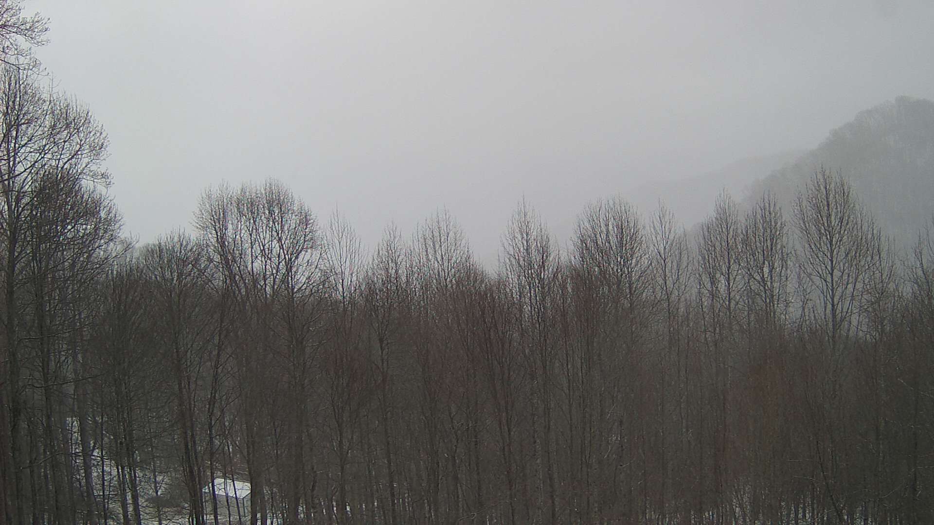 click for next image... slideshow image