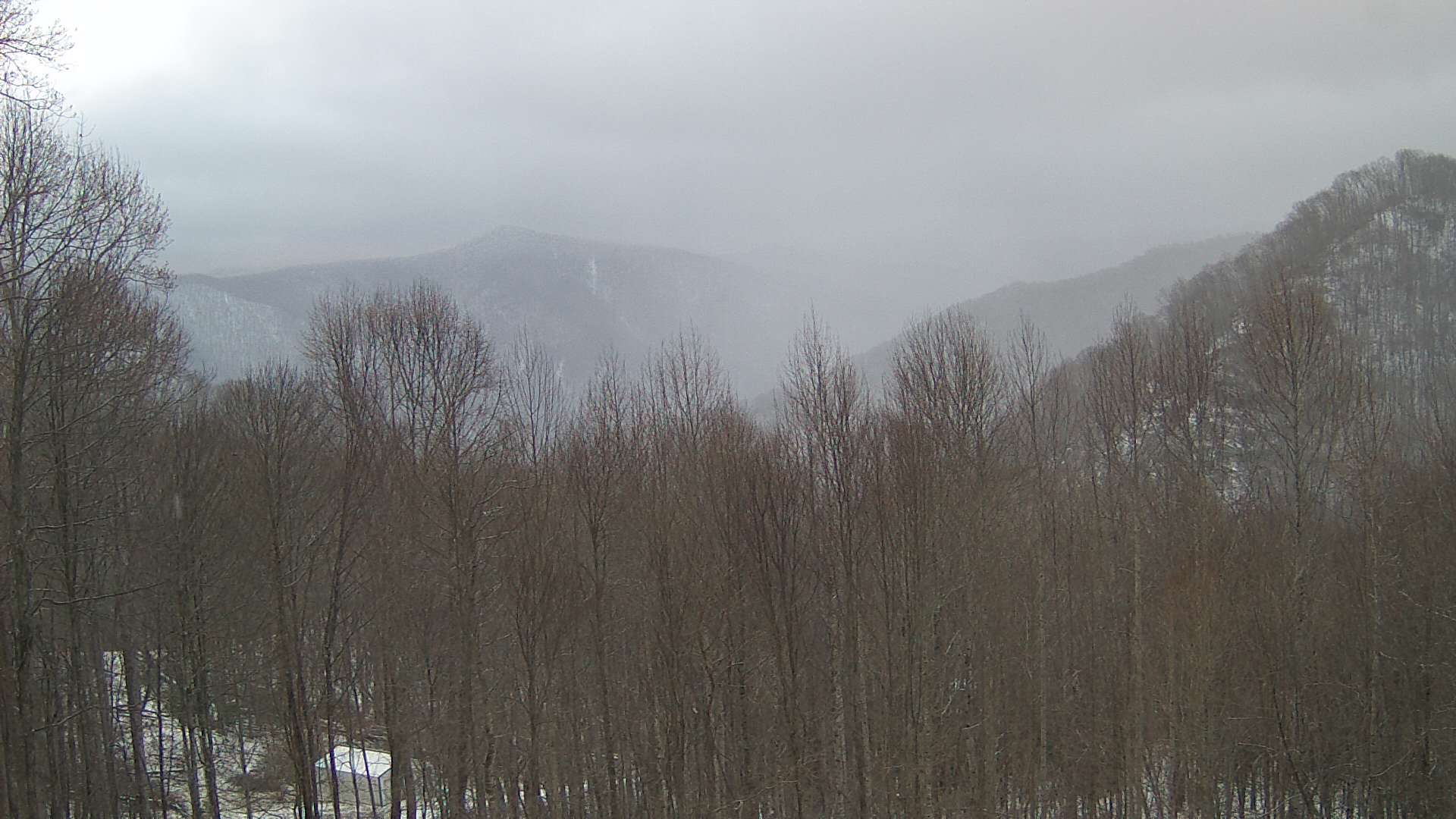 click for next image... slideshow image