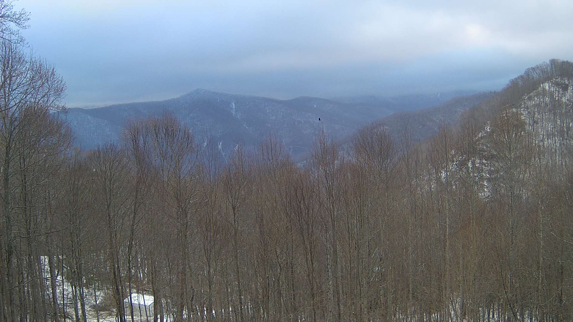 click for next image... slideshow image