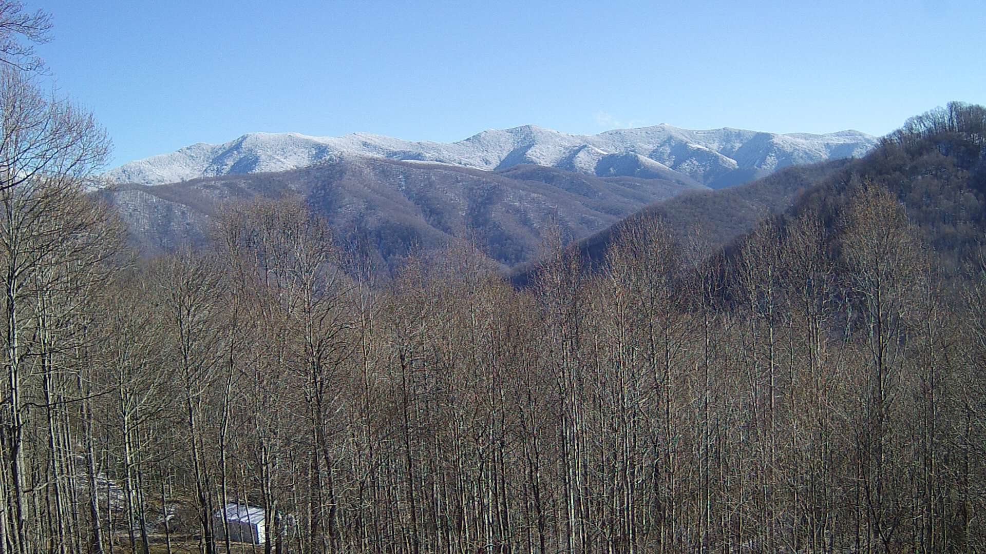 click for next image... slideshow image