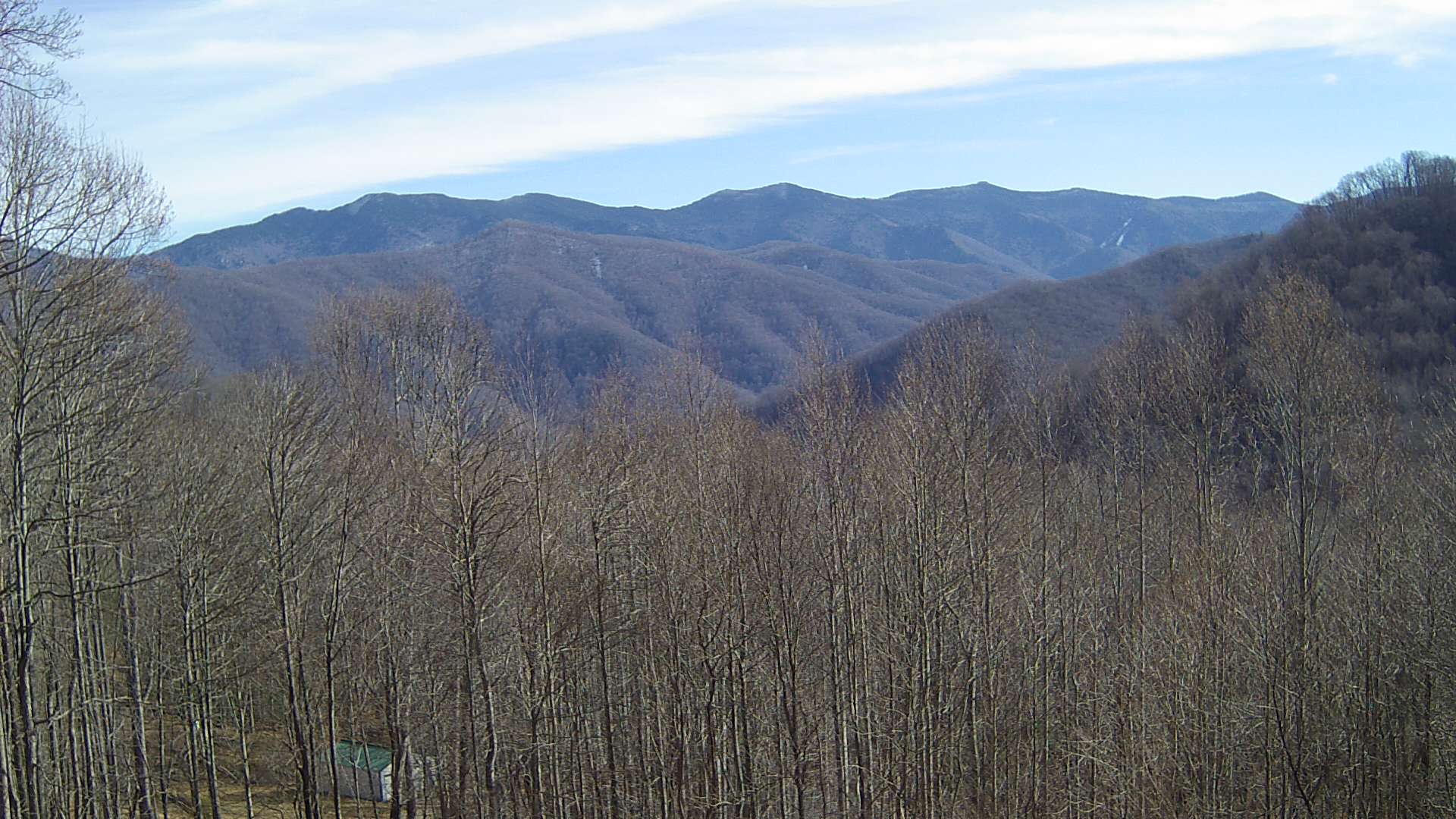 click for next image... slideshow image