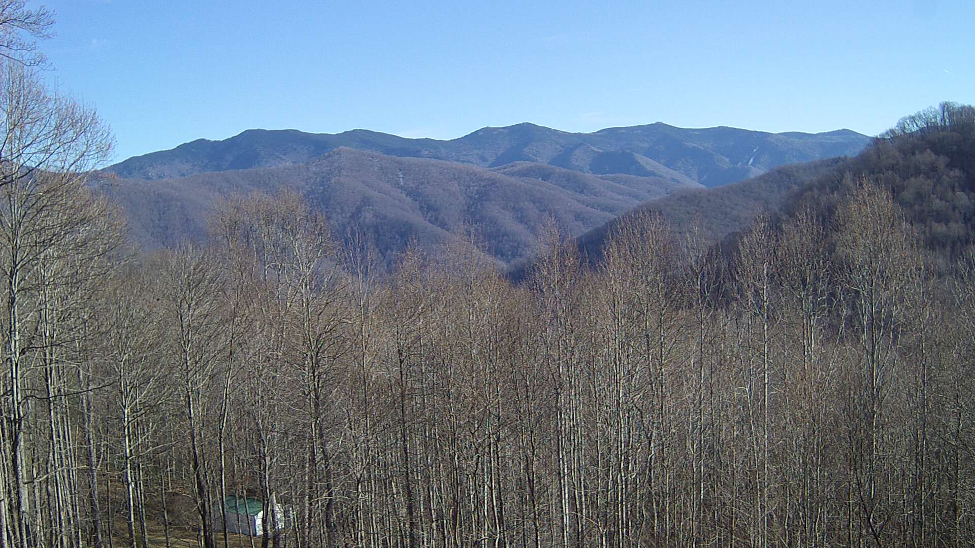 click for next image... slideshow image