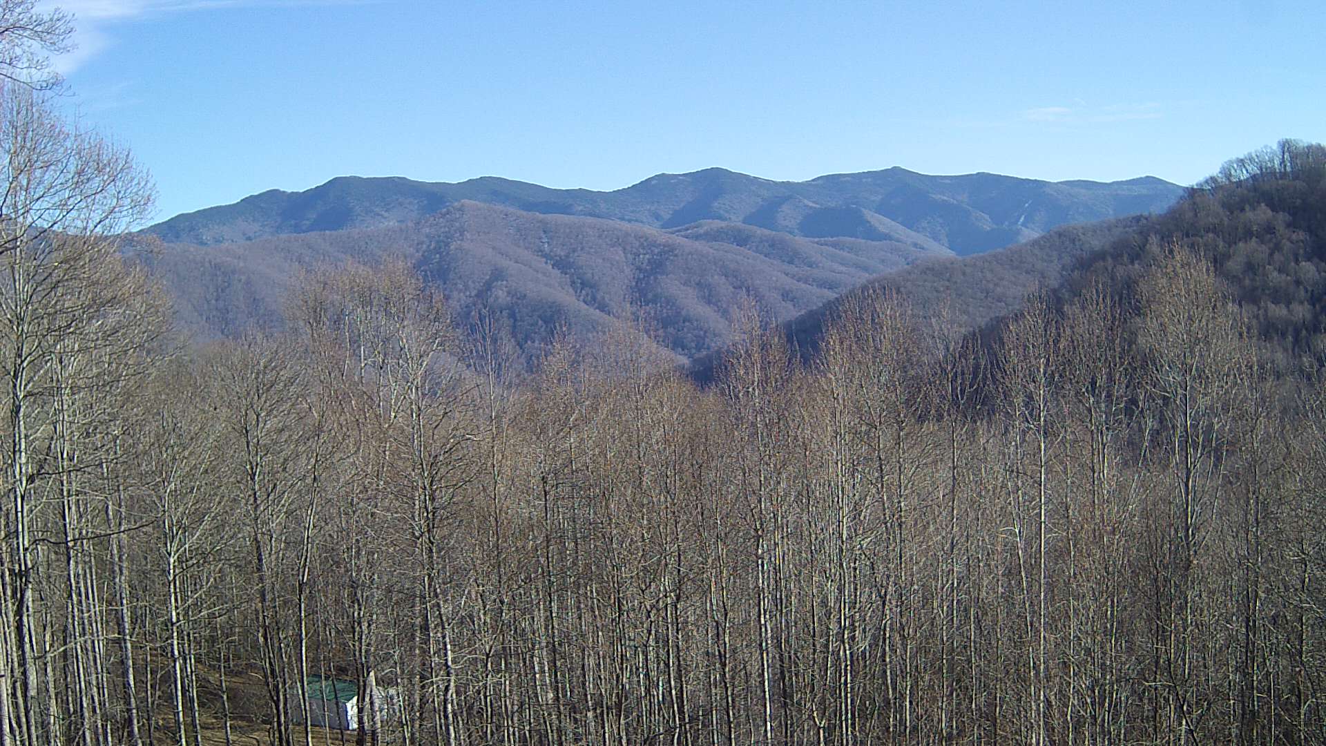 click for next image... slideshow image