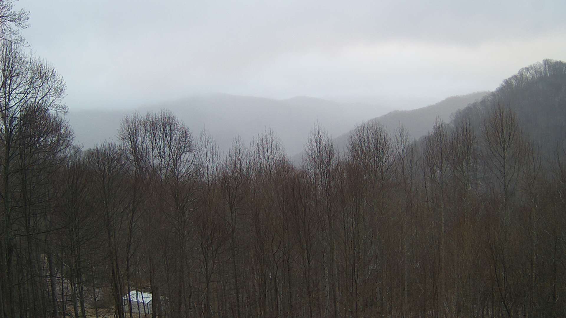 click for next image... slideshow image