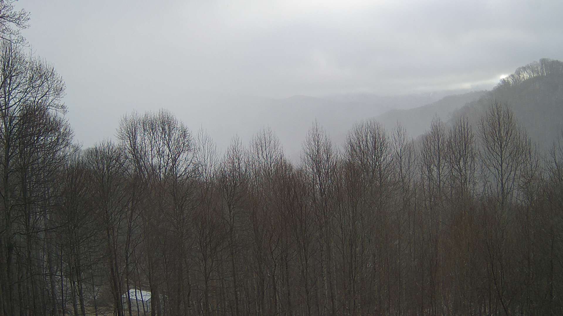 click for next image... slideshow image