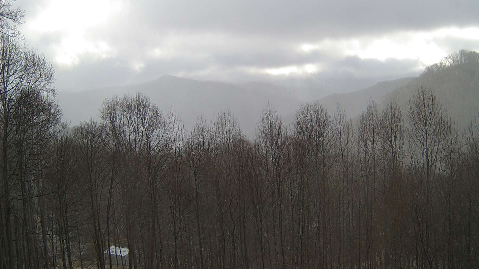 click for next image... slideshow image