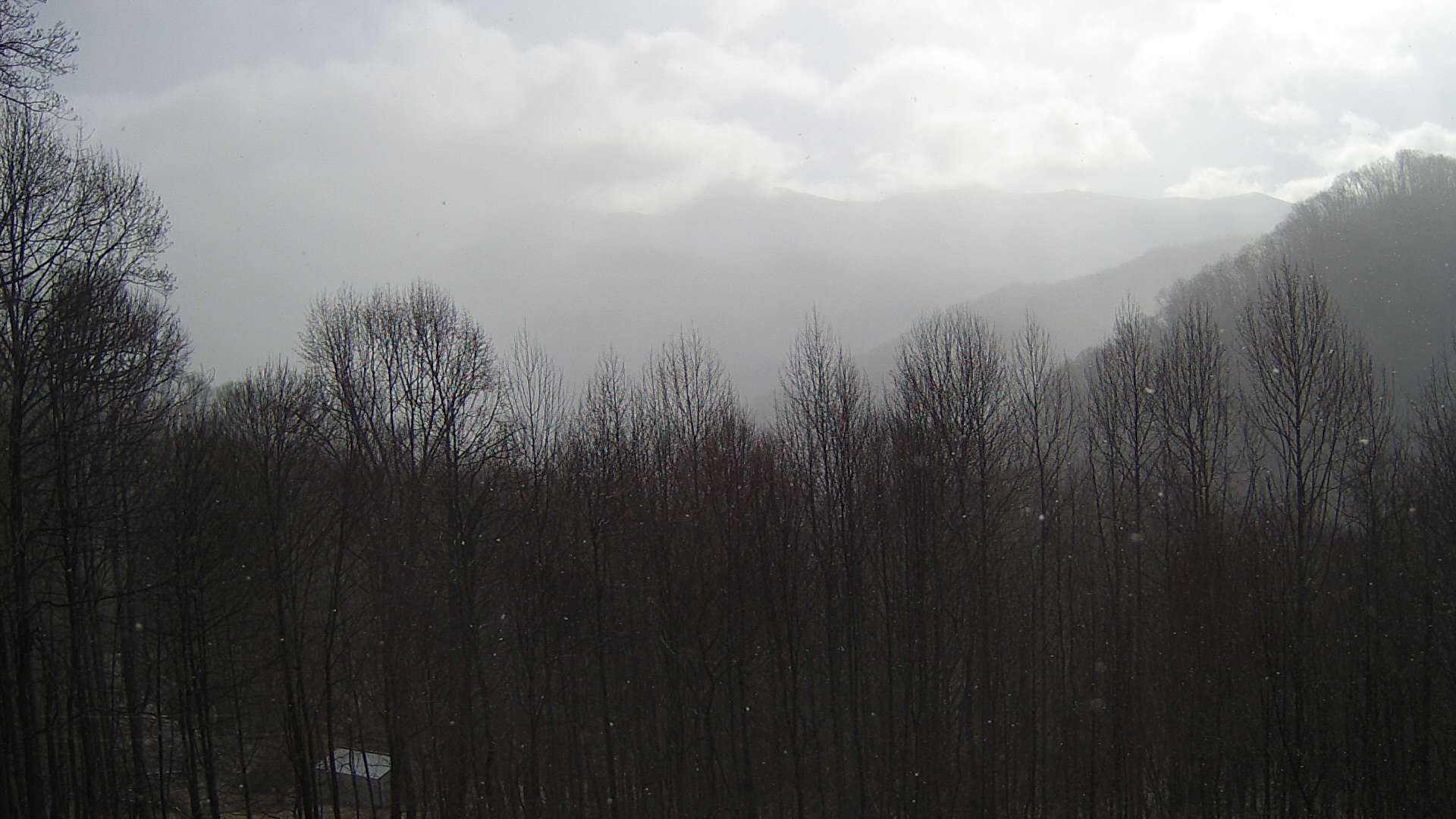 click for next image... slideshow image