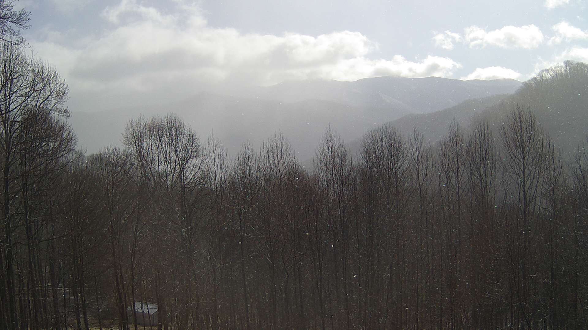 click for next image... slideshow image