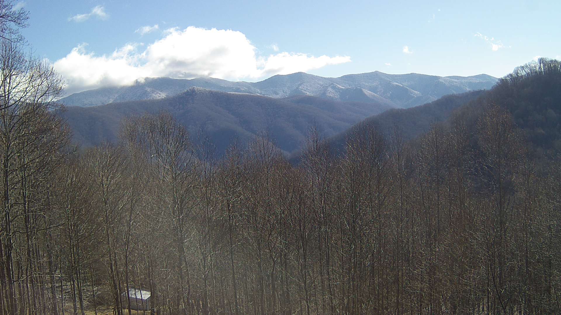 click for next image... slideshow image