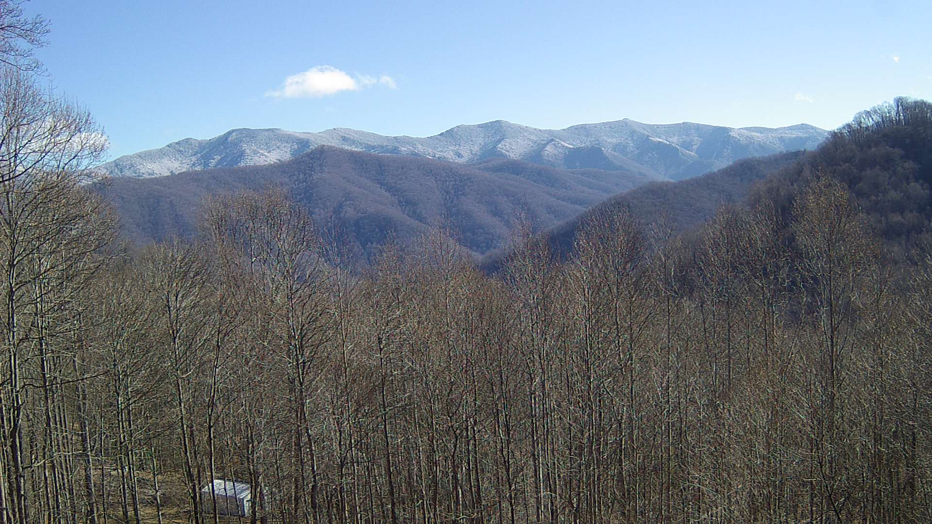 click for next image... slideshow image