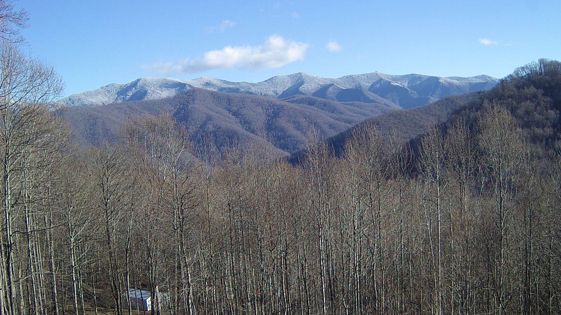 click for next image... slideshow image