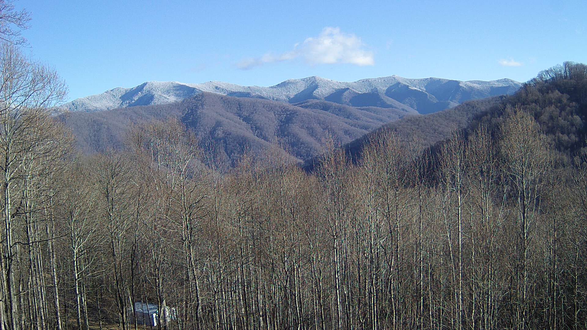 click for next image... slideshow image