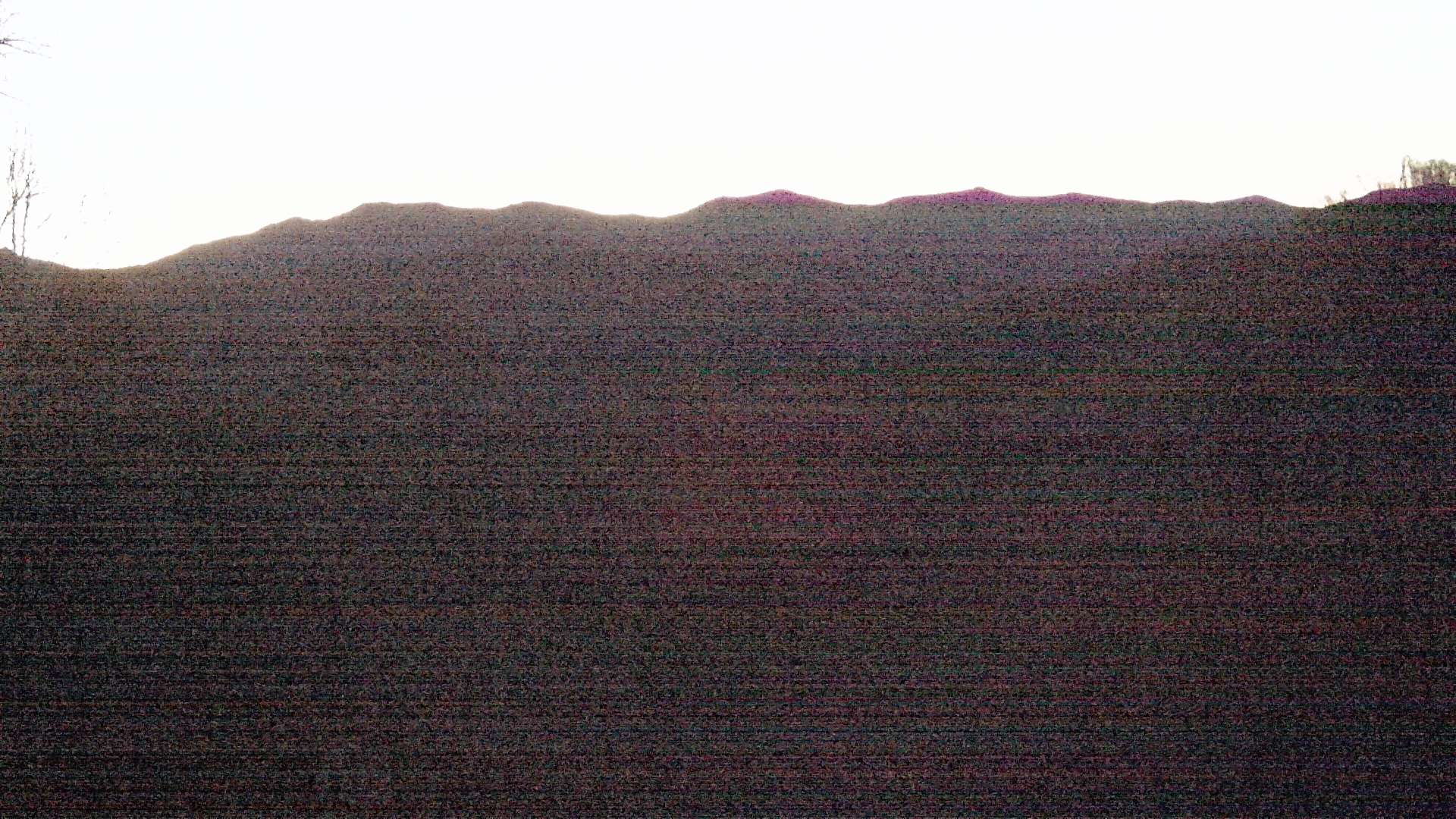 click for next image... slideshow image