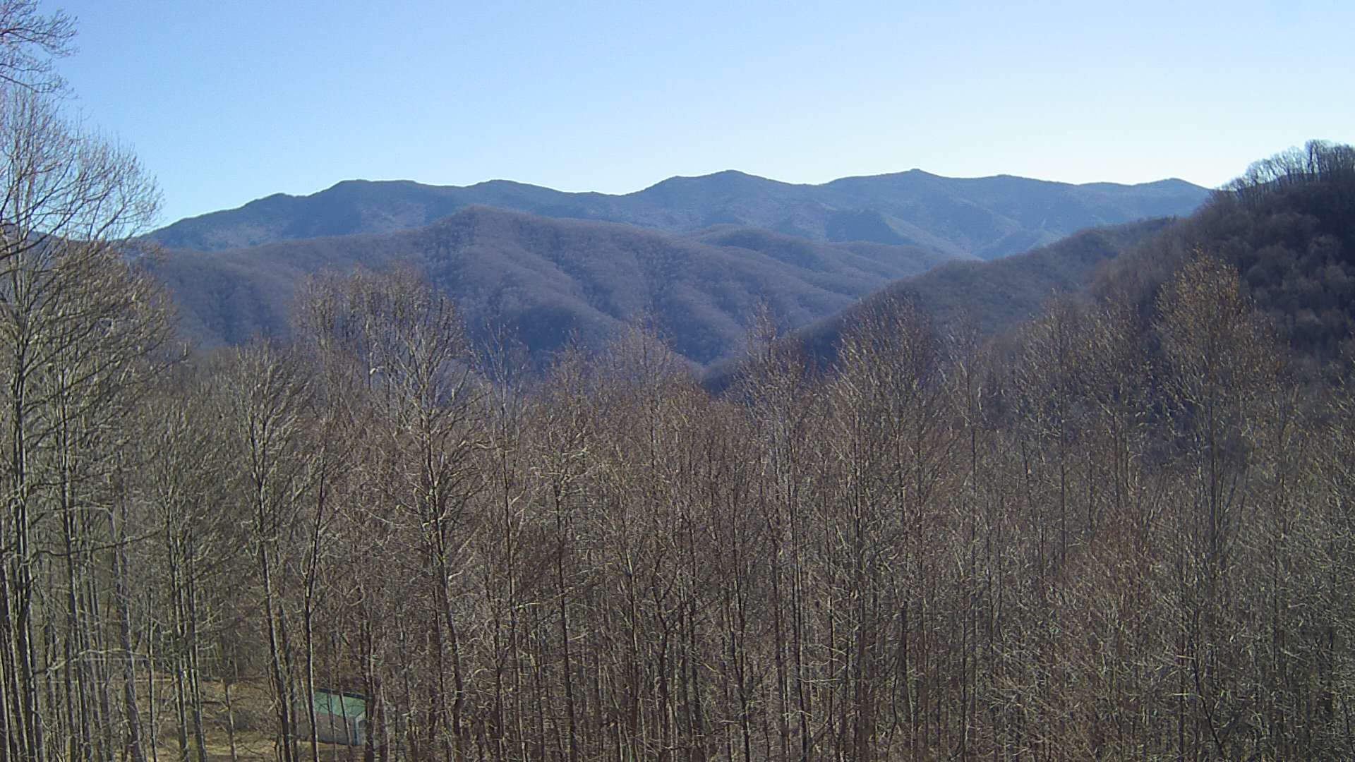 click for next image... slideshow image