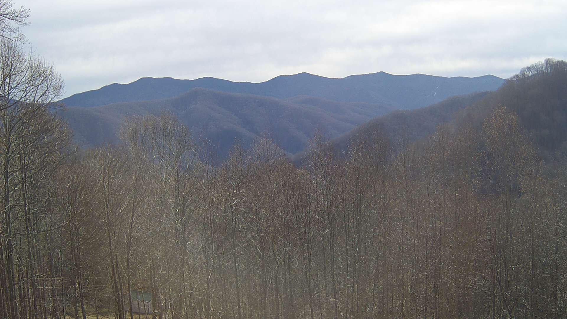 click for next image... slideshow image