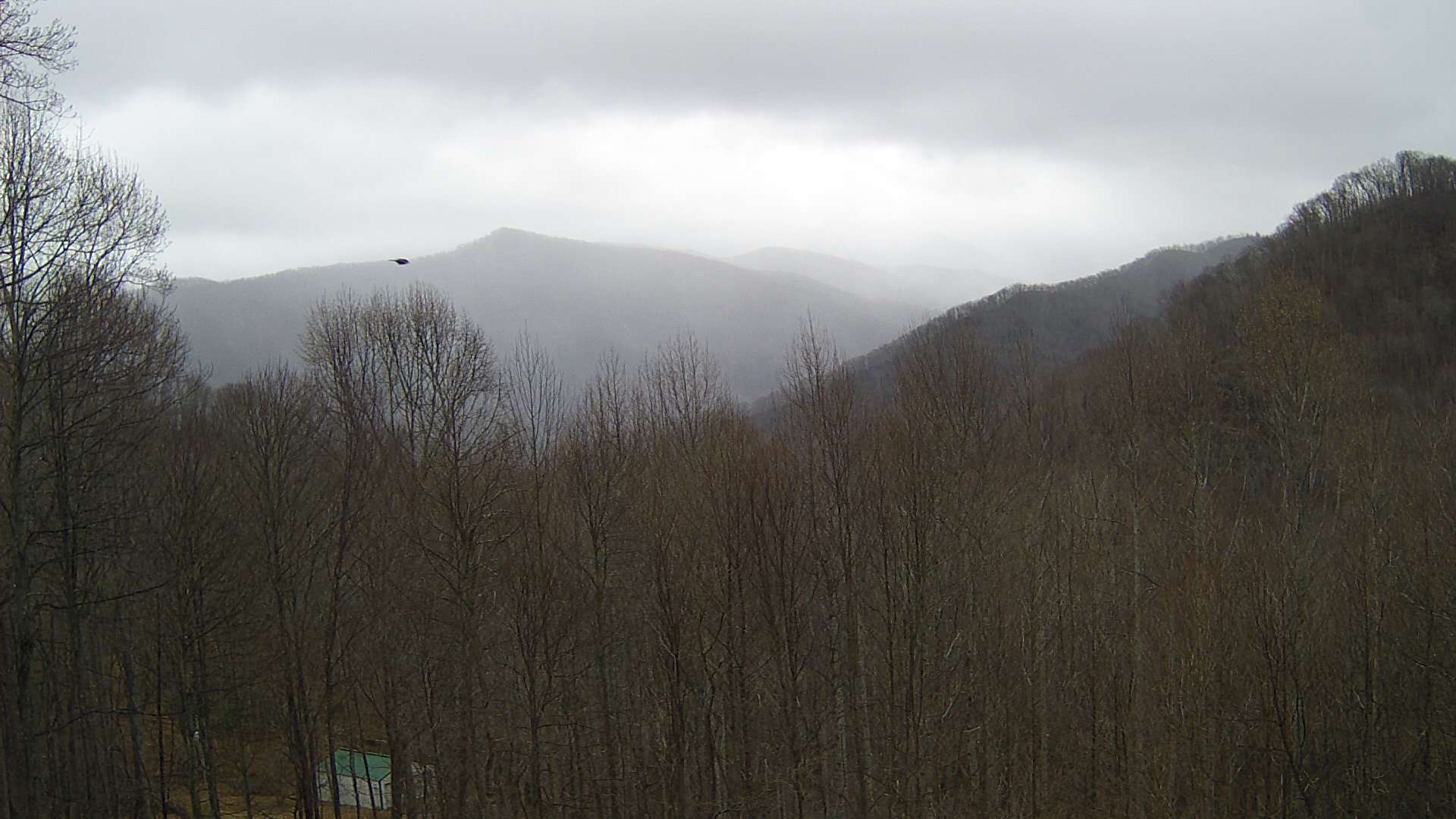 click for next image... slideshow image